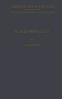 Muskelphysiologie
