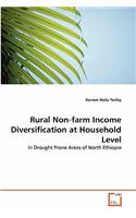 Rural Non-farm Income Diversification at Household Level