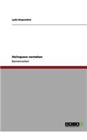 Delinquenz verstehen