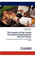 The Impact of the Youth Enterprise Development Fund in Kenya