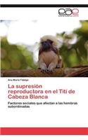Supresion Reproductora En El Titi de Cabeza Blanca