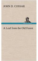 A Leaf from the Old Forest