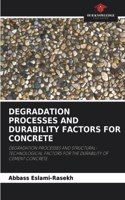 Degradation Processes and Durability Factors for Concrete