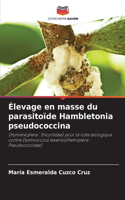 Élevage en masse du parasitoïde Hambletonia pseudococcina