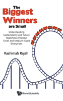 The Biggest Winners Are Small: Understanding Sustainability And Future Readiness Of Global Small And Medium-sized Enterprises