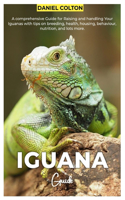 Iguana Guide