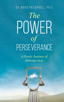 Power of Perseverance