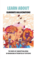 Learn About Elaborate Hallucinations: The Ways Of Conceptualizing & Measuring Attributes Of Systems: Learn About Human Consciousness