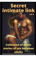Secret intimate link (vol 4): Collection of erotic stories of sex between adults