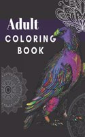Adult Coloring Book