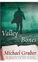 Valley of Bones