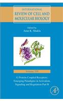 G Protein-Coupled Receptors: Emerging Paradigms in Activation, Signaling and Regulation Part B