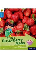 Oxford Reading Tree Explore with Biff, Chip and Kipper: Oxford Level 3: Grow a Strawberry Mess
