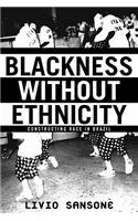 Blackness Without Ethnicity: Constructing Race in Brazil