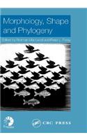 Morphology, Shape and Phylogeny