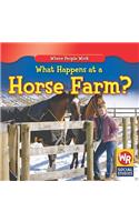 What Happens at a Horse Farm?