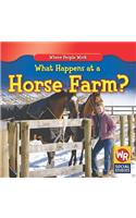 What Happens at a Horse Farm?: (Where People Work)