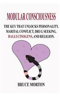Modular Consciousness: The Key That Unlocks Personality, Maritial Conflict, Drug Seeking, Spirituality, and Religion