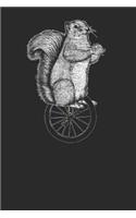 Squirrel Unicycle