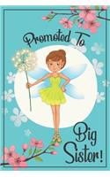 Big Sister Journal - Big Sister Notebook