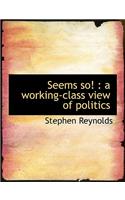 Seems So!: A Working-Class View of Politics