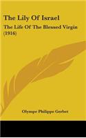 The Lily Of Israel: The Life Of The Blessed Virgin (1916)(English)