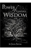 Power of Plentiful Wisdom