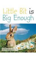 Little Bit Is Big Enough