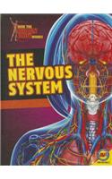 Nervous System: (How the Human Body Works)