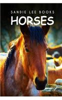 Horses - Sandie Lee Books