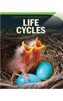 Life Cycles