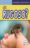¿Es Rugoso? (What Is Bumpy?)