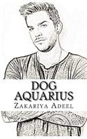 Dog Aquarius: The Combined Astrology Series