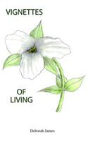 Vignettes of Living