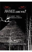 Awake (Are We)? Part 2 the Rebirth of Sublin