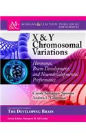 X & Y Chromosomal Variations: Hormones, Brain Development, and Neurodevelopmental Performance