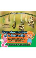 Transformation of a Butterfly