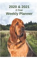 2020 & 2021 Weekly Planner - Two Year Appointment Book Gift - Two-Year Agenda Notebook for Bloodhound Dog Owners