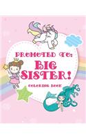 Big Sister Coloring Book