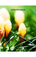 Cahier Hexagonal: 150 pages pour prendre vos notes de chimie organique, biochimie (étudiants, professeurs et professionnels)