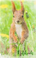 Cute squirrel notebook. 120 lined pages 5