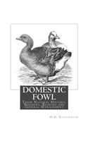 Domestic Fowl