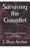 Surviving the Gauntlet: An Ideology of a Drug Affected Family - Second Edition