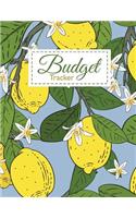 Budget Tracker