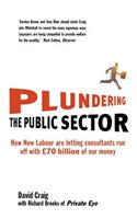 Plundering the Public Sector