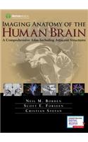 Imaging Anatomy of the Human Brain