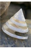 Charming Spiral Seashell Journal