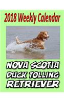 2018 Weekly Calendar Nova Scotia Duck Tolling Retriever