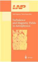 Turbulence and Magnetic Fields in Astrophysics