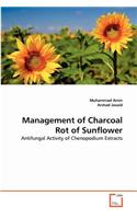 Management of Charcoal Rot of Sunflower